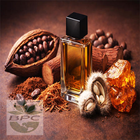 Cocoa Bean Fragrance Oil